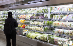 장보기 쉽지 않네