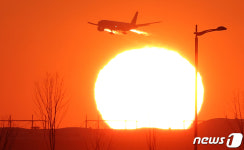 2024년 새해, 힘차게 날아오르기를