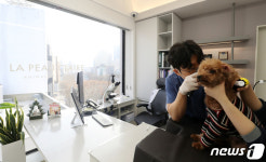 1인 수의사 동물병원도 5일부터 진료비 사전게시