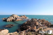 울산 동구 대왕암공원 미로원 7년만에 관리부실로 존페 위기