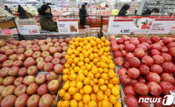 과일값이 왜이래? 귤 27년만에 최고가…대형마트 빅3 물가 잡기 특명