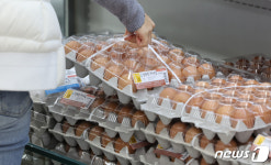 고병원성 AI에 계란값 들썩