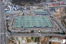 부산 공영농산물도매시장, 지난해 역대 최대 1조1300억 거래