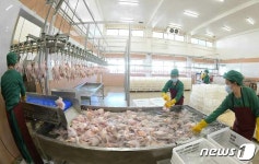 조업하고 있는 北 광천닭공장 근로자들