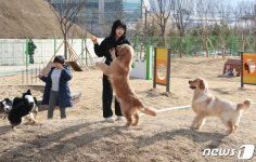 반려견 놀이터에서 즐거운 오후