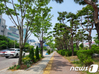 더 푸르게…광주시 58억 들여 도시숲 25곳 추가 조성