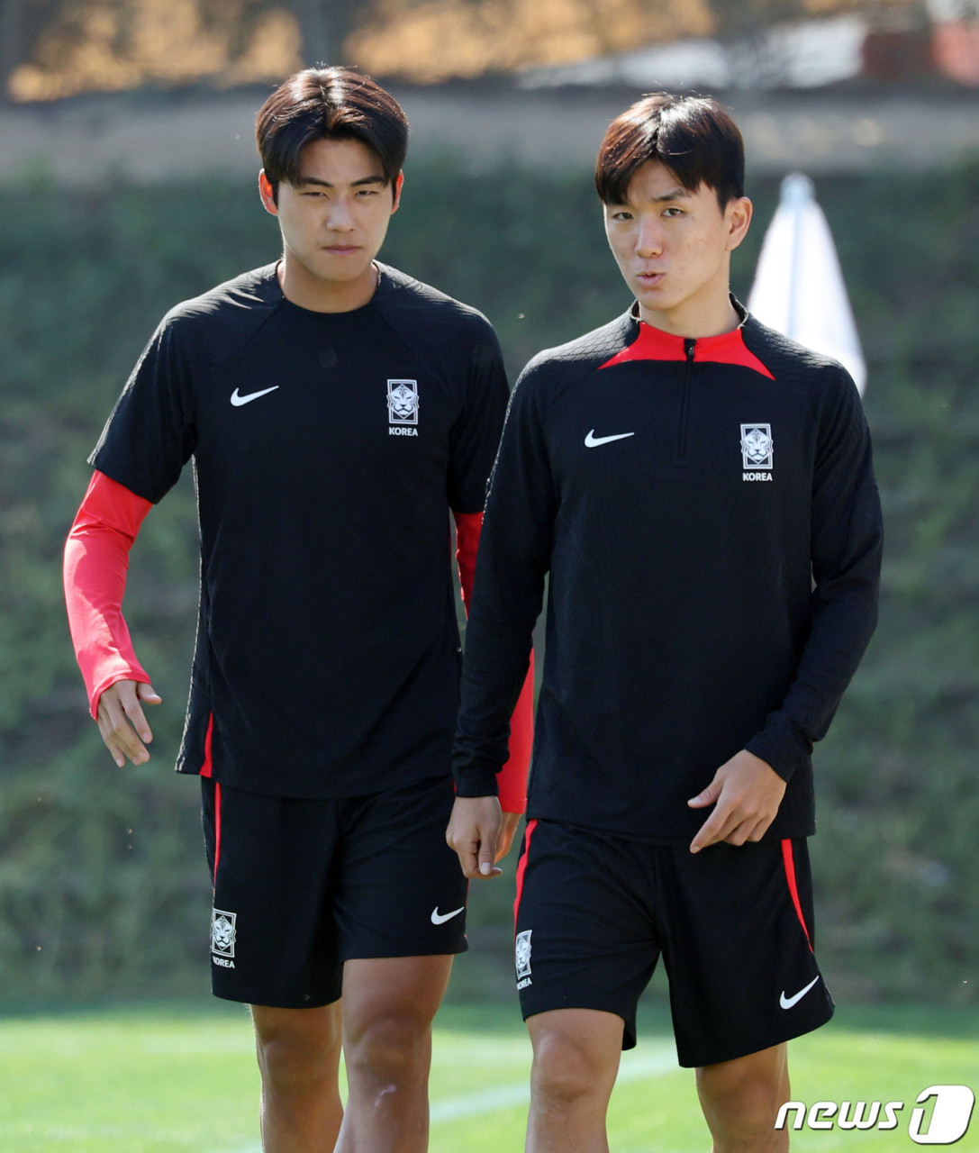 황인범과 설영우, 2024-25 UCL 본선 진출 완료! 한국 선수 4명의 참가