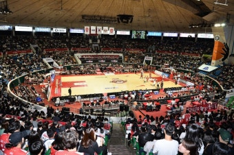 프로농구 SK, KBL 최초 300만 관중 돌파 눈앞