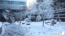 눈 구경 힘든데… 울산대병원 눈꽃 정원에 환자·내원객 감동