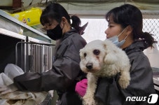 도움 필요한 동물 친구들 있는 곳 어디든 달려갑니다[최기자의 동행]