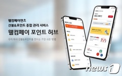 웰컴페이먼츠비 | 웰컴금융 선불·포인트 관리 서비스…'웰컴페이 포인트 허브' 출시