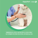 반려동물이 살쪄서 걱정이라면?…이렇게 해 보세요[펫카드]