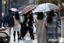 우수 하루 앞두고 내리는 봄비