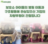 2006년부터 고양이 구조 나비야사랑해…치료 위한 이동차량 절실