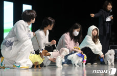 멍멍···우리도 어엿한 대학 새내기