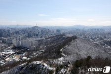 쾌청한 하늘 아래 설경