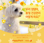 봄봄봄, 봄이 왔어요…강아지 건강관리 어떻게 할까[펫카드]