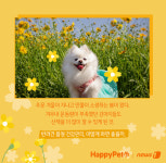 봄봄봄, 봄이 왔어요…강아지 건강관리 어떻게 할까[펫카드]