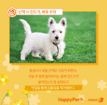 봄봄봄, 봄이 왔어요…강아지 건강관리 어떻게 할까[펫카드]