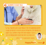 봄봄봄, 봄이 왔어요…강아지 건강관리 어떻게 할까[펫카드]