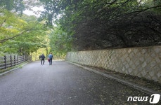 서대문구, 안산 인근 맨발로 걷는 황톳길 조성한다