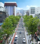 서울시, 창경궁로 보행로 확대…역사와 관광 잇는 명소로