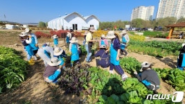 용인시민농장에 2700명 신청, 경쟁률 3.4대 1…794팀 선정