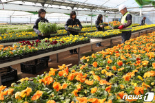 봄 기운 같이 나눠요