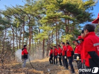 마른 봄 날씨 보이는 강원 동해안 화재위험 고조…강풍 동반