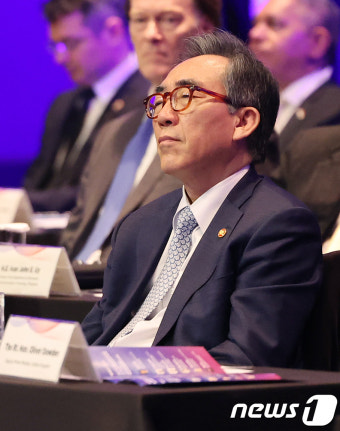 제3차 민주주의 정상회의 장관급 회의 참석한 조태열 장관