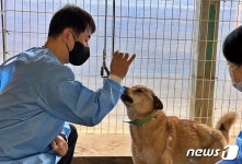 보호동물의 건강한 삶 위해…VIP동물의료센터, 의료봉사 펼쳐