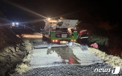 충남 예산 신양면 야산 불…49분 만에 진화(종합)