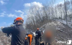 양구서 벌목 작업 중 나무에 맞은 50대 숨져(종합)