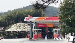 지붕 형태로 환하게 핀 목련