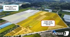 영동군 지역특화 스마트팜복합단지 조성 시동…청년 농업인 육성