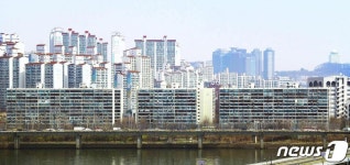 산호 사진 5