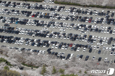 상춘객 가득한 놀이공원 주차장