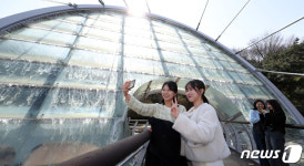 서초 아쿠아아트 육교 워터스크린 본격 가동