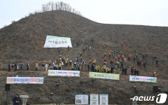 홍성군, 작년 대형산불 현장에 편백나무 4500그루 식재