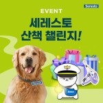 반려견과 건강한 산책하세요…엘랑코, 세레스토 챌린지 진행