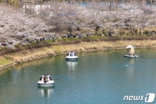 벚꽃 명소 편의점, 이 상품 불티나게 팔렸다…2300% 매출 폭증