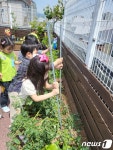 중구, 어린이집 3곳에 텃밭 조성…꼬마 농부, 토마토 키워요