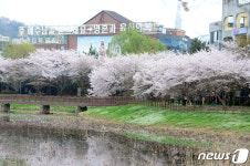 핑크빛으로 물든 운천저수지