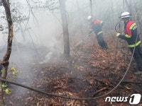 대구 동구 진인동 야산서 산불… 20분만에 진화