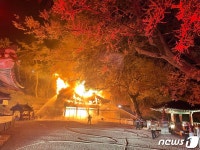 김제 망해사 화재로 대웅전 전소…인명피해 없어