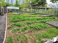 부산시보건환경연구원, 도시텃밭  64곳 토양 안전성 조사