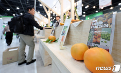 신선 농산물 전시된 BKF 2024