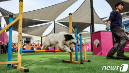 서대문 내품애센터 개소