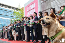 서대문 내품애센터 개소