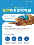 VIP동물의료센터 성북점, NK면역력검사 실시…국내 동물병원 유일